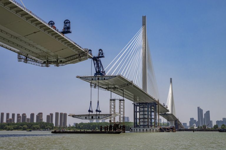 NanjingJiangxinzhouYangtzeRive 19247107 pig05 768x512