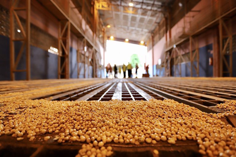 f 61 130 19234033 e7qfed5s TPFE Image 2 768x511