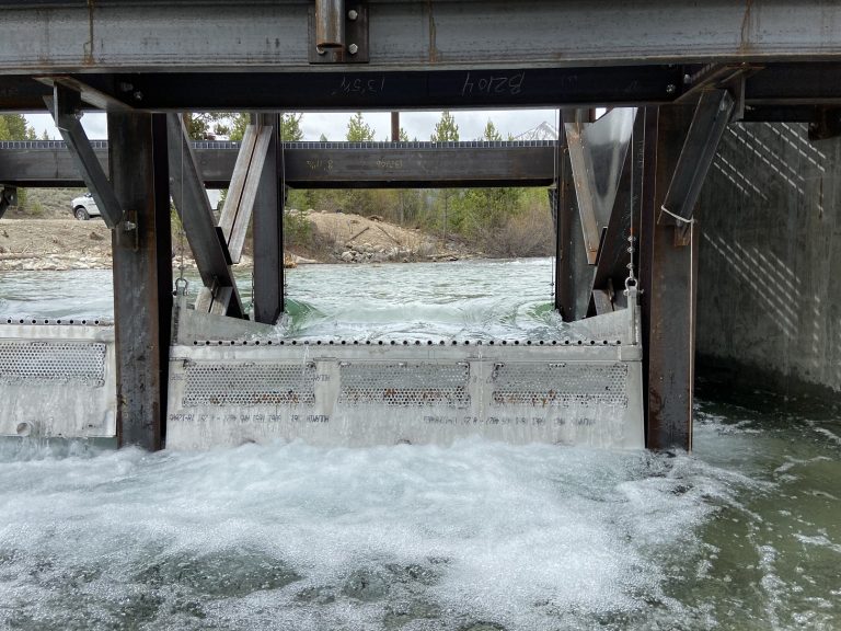 PettitLakeCreekWeir 19235761 Photo 3 768x576