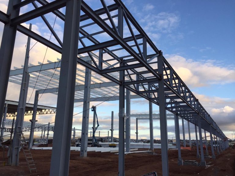 f 2 130 14766972 BM10   Piperack 768x576