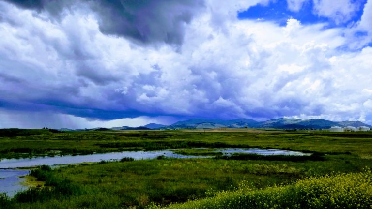 f 2 133 14766933 5 Wetlands In Former Lower Lake June 2018 768x432